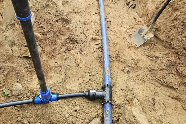 bd012b44-9d5a-4e12-a810-10e46142bbb6